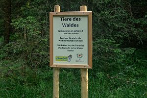 *NEU* Tiere des Waldes